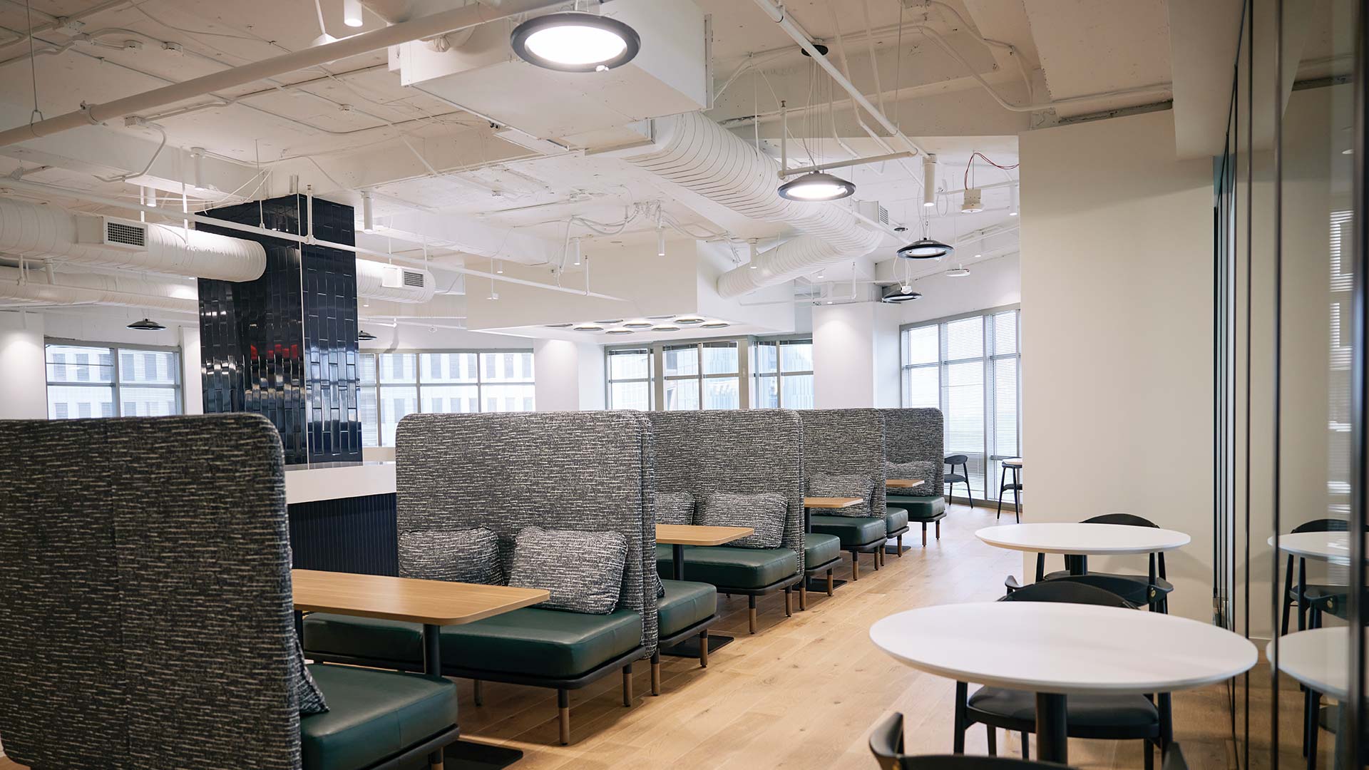 photo-gallery-commercial-office-acuity-brands-lighting-midtown-10